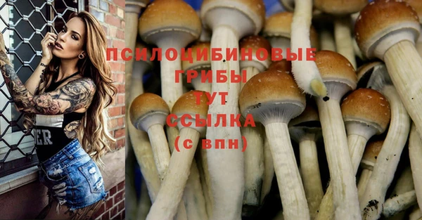 прущая мука Зерноград