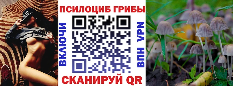 Псилоцибиновые грибы прущие грибы Купить закладки Верхняя Пышма